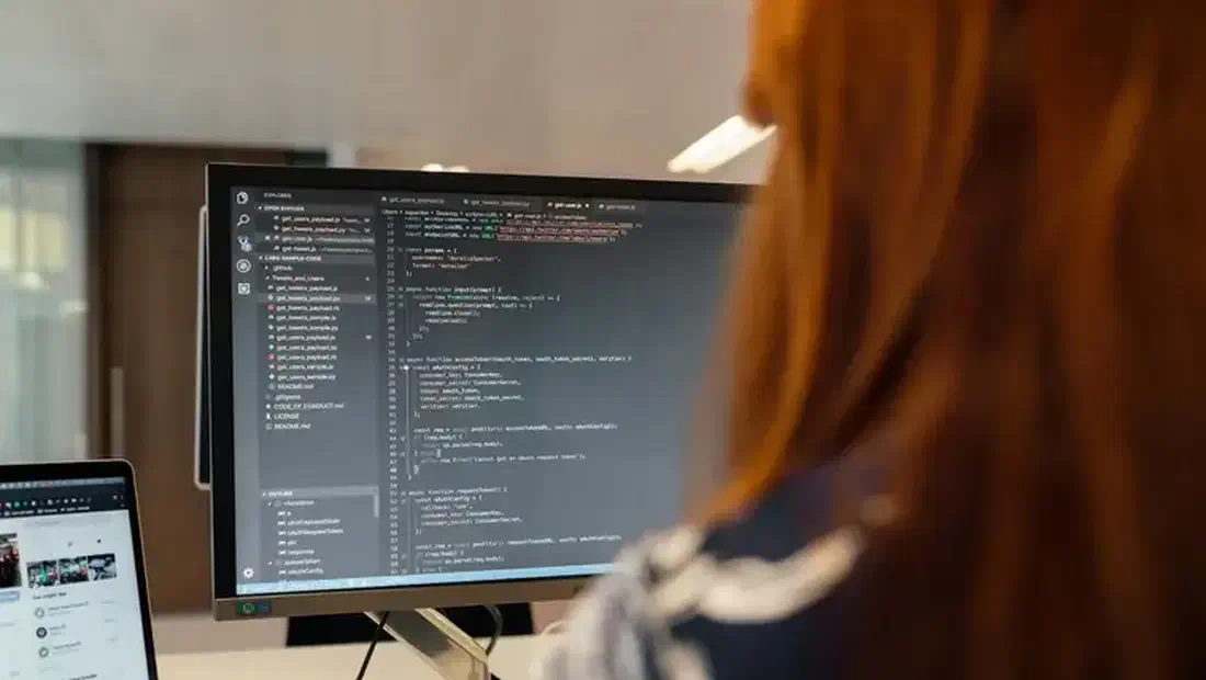 Web Development and Digital Solutions